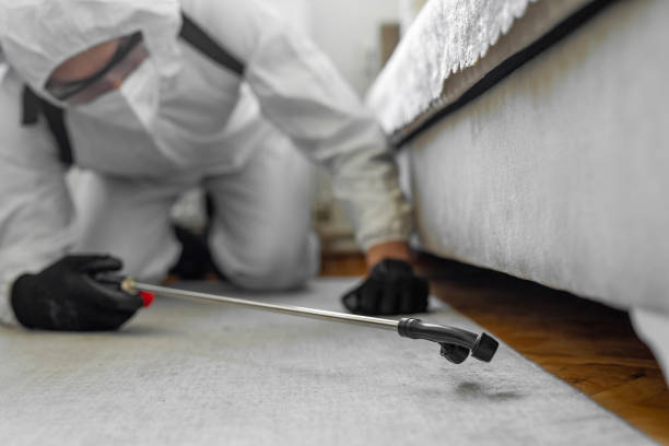 Professional Fumigation Services technician working in Moriches, NY