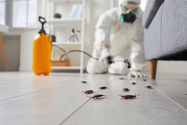 Trusted Fumigation Services service in Moriches, NY - Nex Pest Control